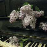 Фестиваль «Белая сирень»