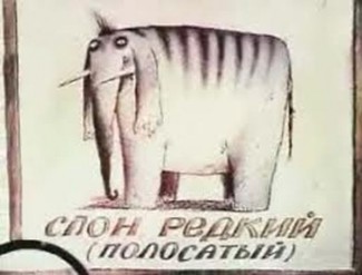 Слон редкий, полосатый, кличка "Балдахин"