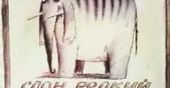 Слон редкий, полосатый, кличка "Балдахин"