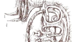 Иллюстрация к книге Владимира Зисмана