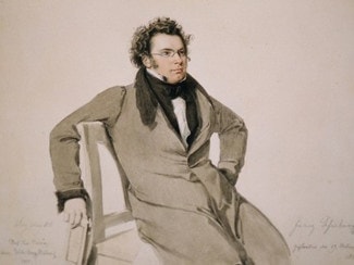 Франц Шуберт. Акварель - Вильгельм Август Ридер, 1825