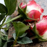 Скончалась одна из самых щедрых меценаток русской культуры
