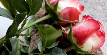 Скончалась одна из самых щедрых меценаток русской культуры