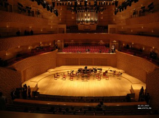 В концертном зале Мариинского театра пройдут выступления членов жюри Международного конкурса имени Чайковского