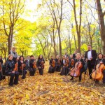 Липецкий симфонический оркестр открывает сезон