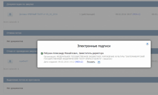 Документ об отказе от приобретения авто появился на сайте госзакупок уже после того, как в театре сообщили, что заказ был опубликован по ошибке