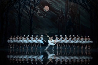 "Лебединое озеро" "Лебединое озеро"