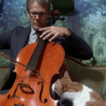 Дэвид Тейе выпустил альбом музыки для кошек и котов