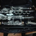 Нижегородская филармония получила новые музыкальные инструменты