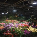 Камерный концерт «Цветущая классика» пройдет в «Аптекарском огороде»