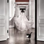 Детектив "Тайны особняка княгини Шаховской" в день рождения театра "Геликон-опера"