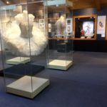 «Лебединое озеро» в музее «П. И. Чайковский и Москва»