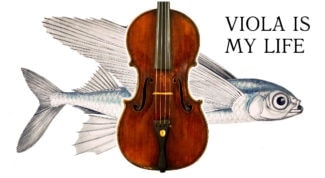 Фестиваль Viola is my life