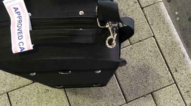 Музыкант собрался в дорогу