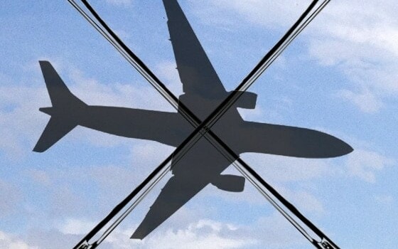 "Аэрофлот" запретит провозить скрипки и альты в салонах самолетов