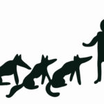 В Москве откроется #Нелекторий «Петя и волки»