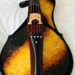 Первая в мире янтарная виолончель Борислава Струлёва