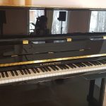 Серия подаренных инструментов носит имя пианиста-виртуоза Николая Рубинштейна