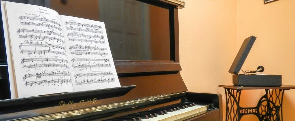 Функция ДШИ – двоякая: подготовка будущих профессионалов и формирование культурного слоя общества