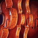 Владимир Спиваков выступил против ограничения закупок иностранных музыкальных инструментов