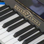 Музыкальные школы Республики Алтай получат новые пианино