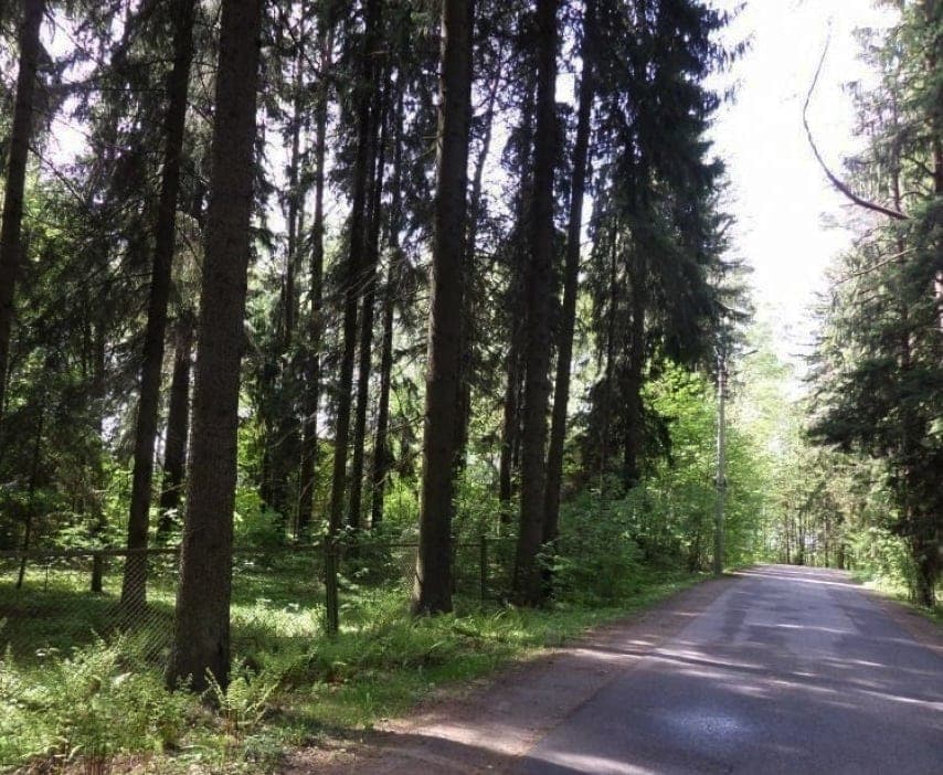 Приморское шоссе