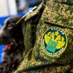 Российская федеральная таможенная служба