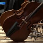 Концерты VII Транссибирского Арт-фестиваля проходят в Страсбурге