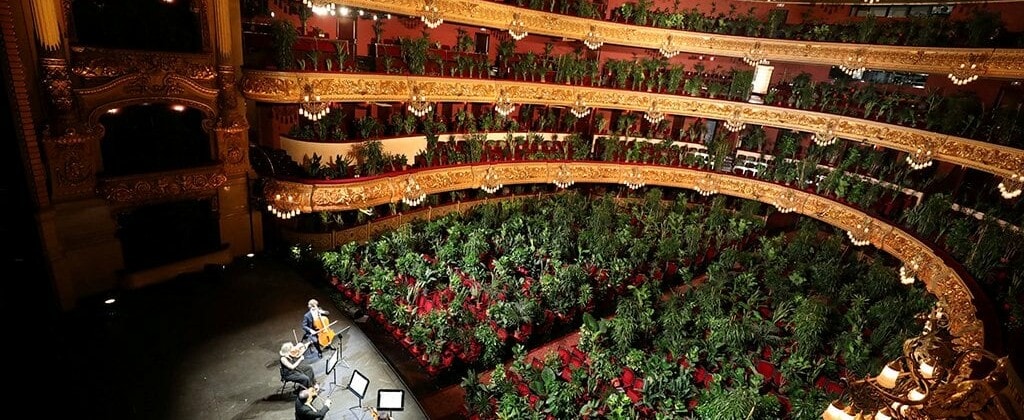 В оперном театре Барселоны прошел концерт для 2292 комнатных растений
