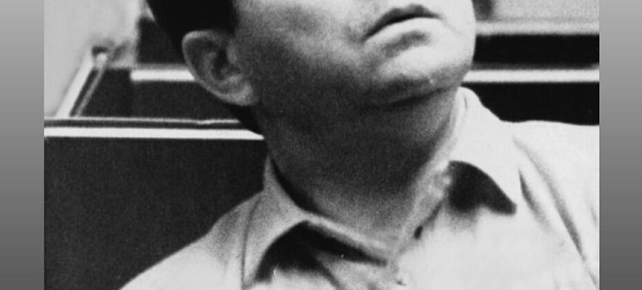 Обложка книги Елены Федорович "Великий Гилельс"