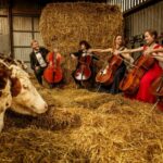 Школа виолончели на природе