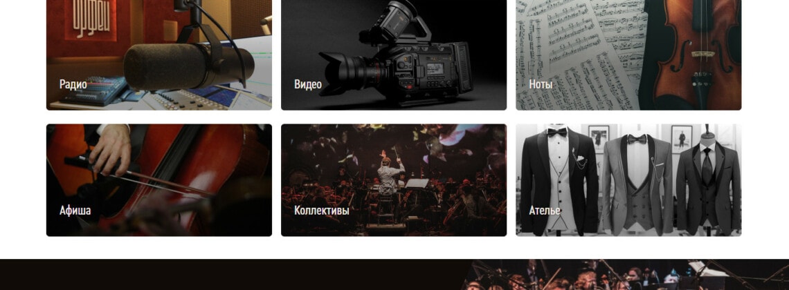 В России появилась медиаплатформа академической музыки