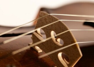 Оркестр Елисейских полей ищет похищенную скрипку