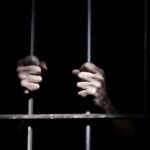 Более тысячи представителей творческого сообщества попросили Бастрыкина за оркестранта Мариинского театра