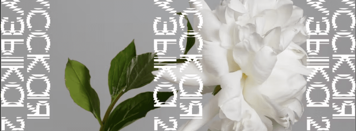 Aksenov Family Foundation представляет лауреатов третьего сезона программы «Русская музыка 2.0»