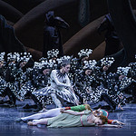 К 80-летию Михаила Шемякина в Мариинском театре покажут «Щелкунчика». Фото - Наташа разина