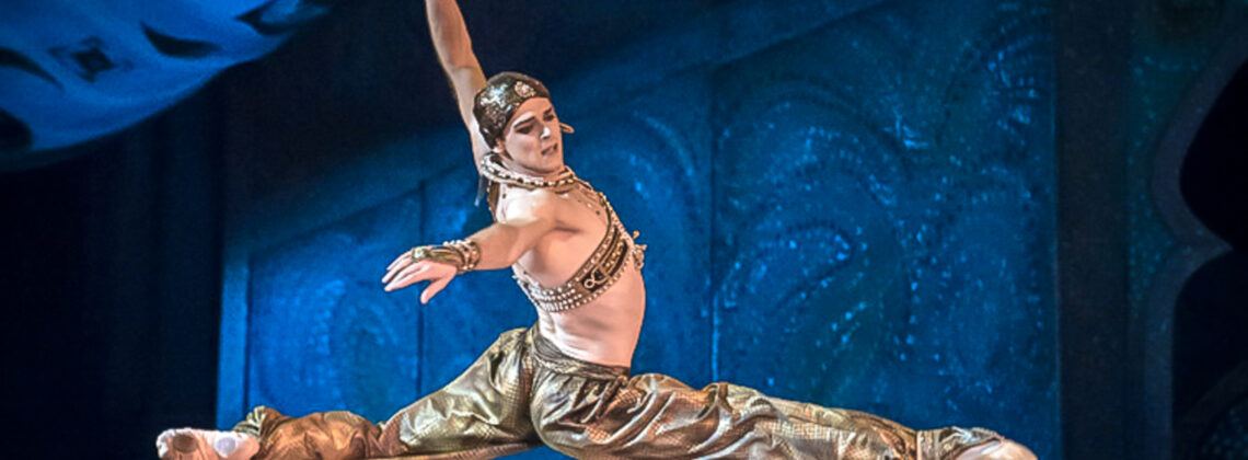 Владимир Шкляров