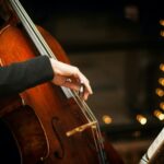 Виолончелистку чуть не приняли за террористку