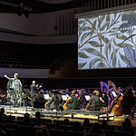 Сцена из спектакля «Птицы» в «Зарядье»