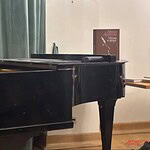 Презентация прошла в Музыкальной гостиной Ирины Архиповой. Фото -- Лизавета Андреева