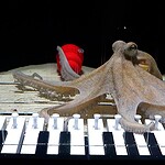 Осьминог Такаояки и его подводное пианино