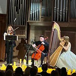 На концерте