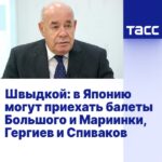 Выступления артистов Мариинского и Большого театров могут пройти в Японии в 2027 году