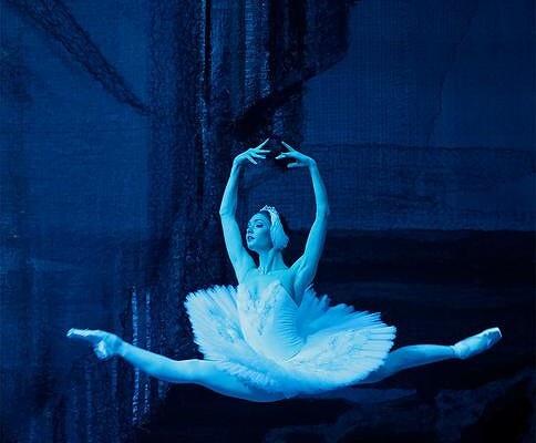 Алёна Ковалёва (Одетта, "Лебединое озеро"). Фото -- Дамир Юсупов/Большой театр