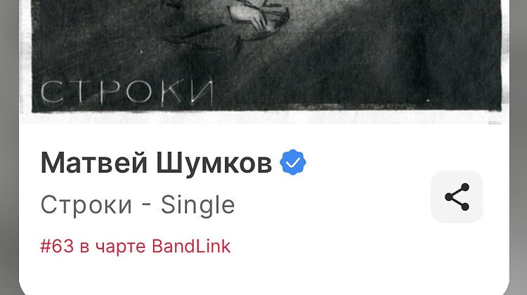 Молодой композитор Матвей Шумков вошёл в ТОП-100 Яндекс BandLink