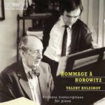 Валерий Кулешов, Владимир Горовиц