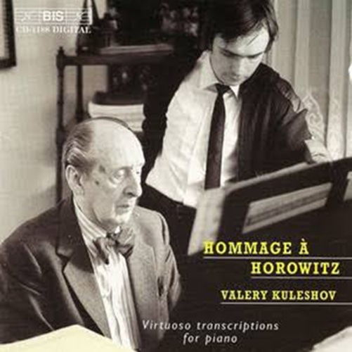 Валерий Кулешов, Владимир Горовиц